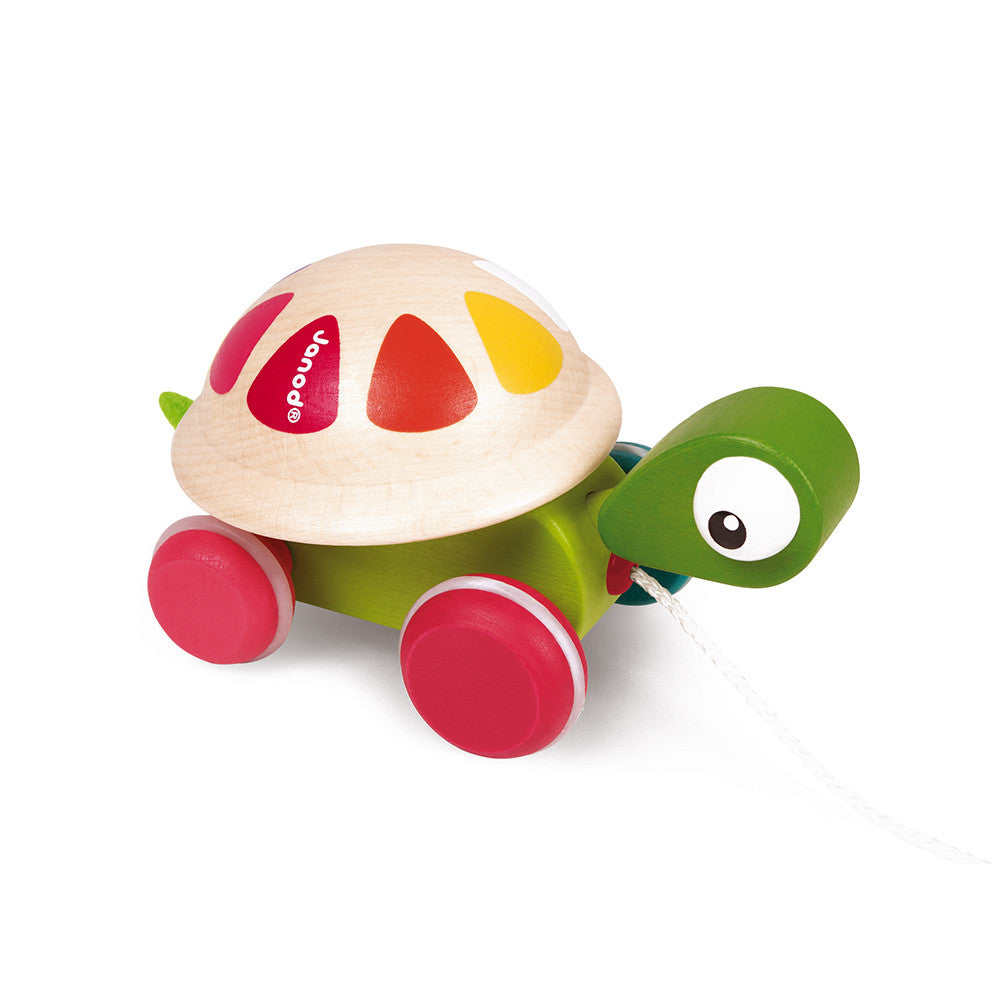 Tortuga Sonajero de Arrastre - Zigolos