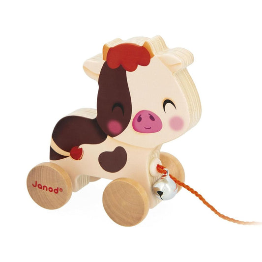 Vaca para pasear