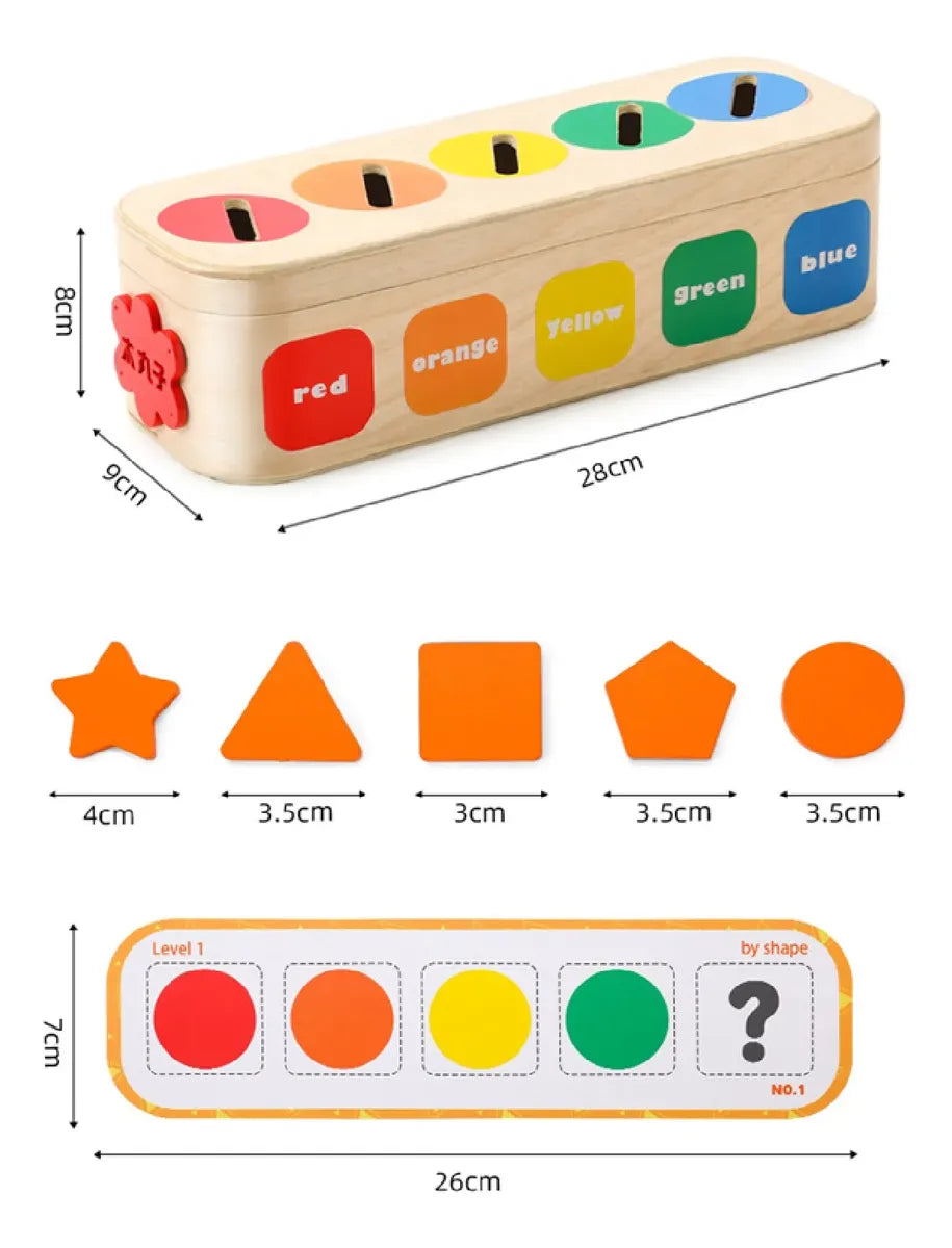 Set de Clasificación de Alcancía