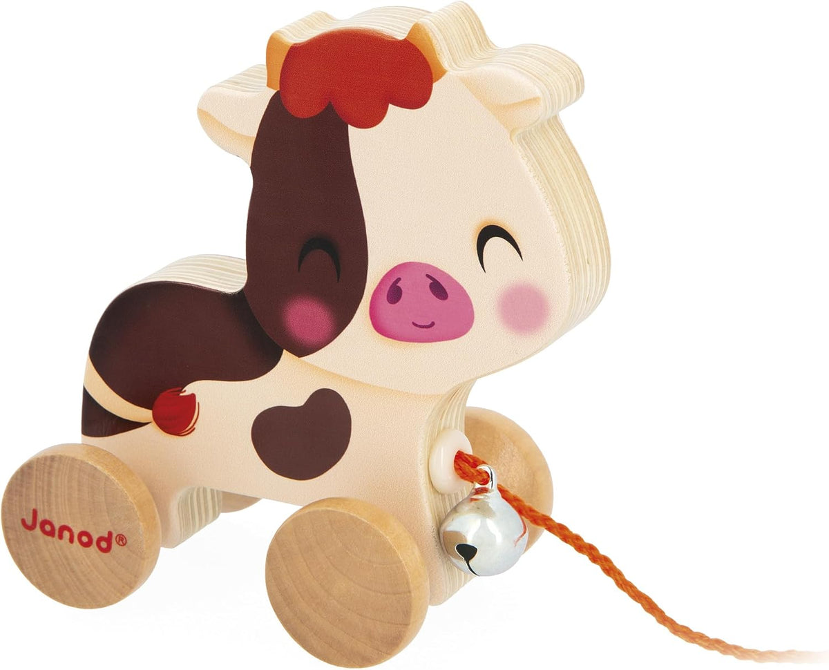 Vaca para pasear