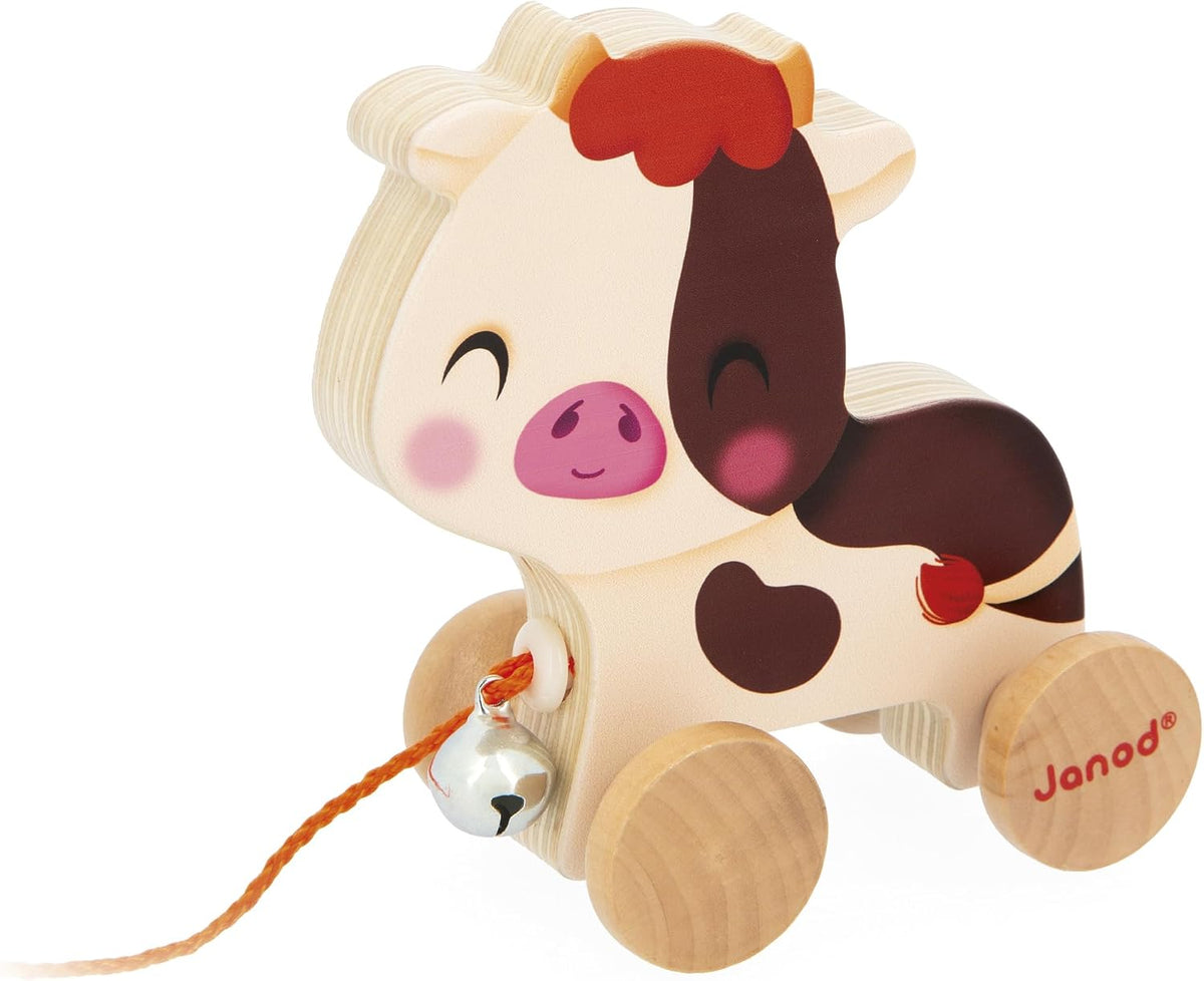 Vaca para pasear