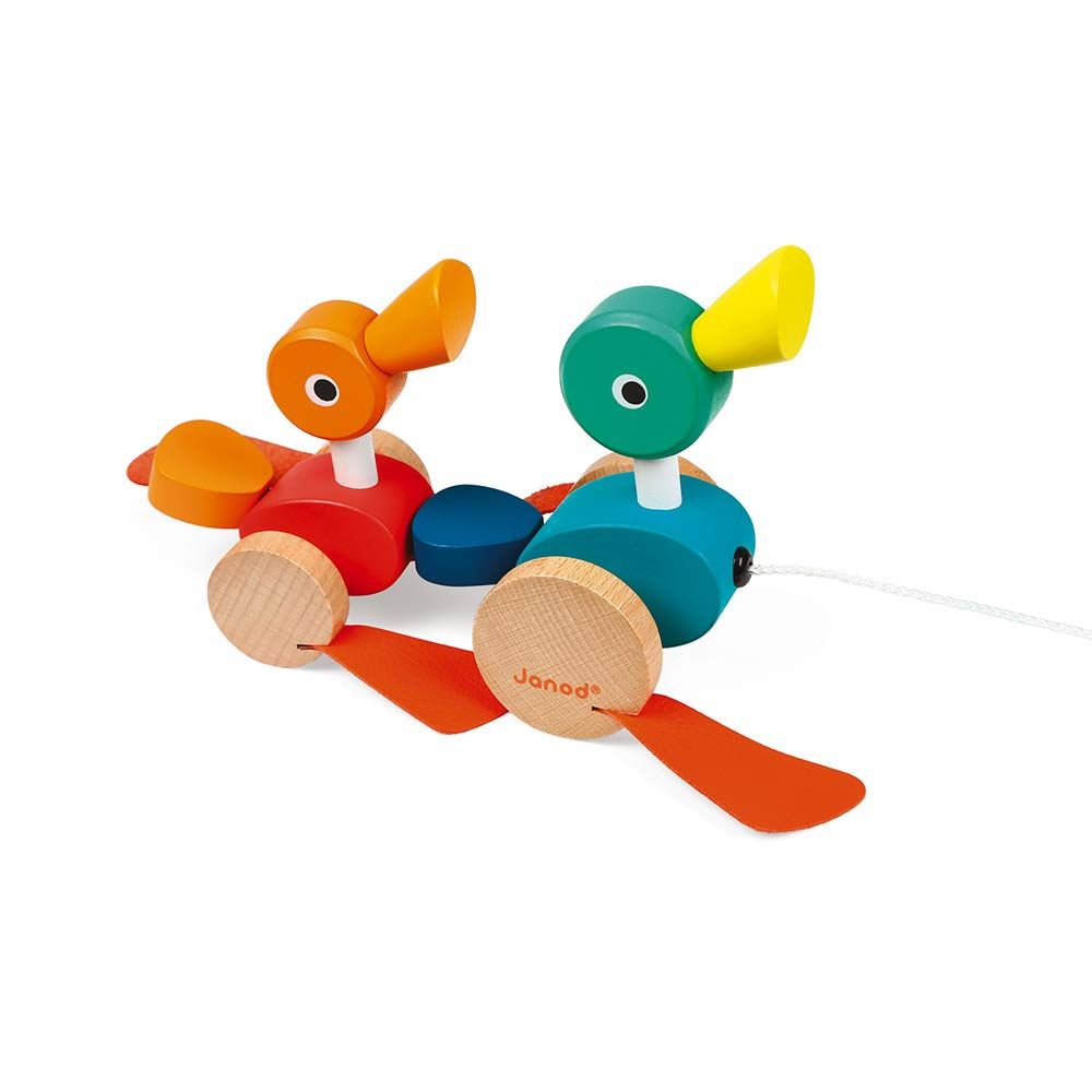 Patos de Arrastre - Zigolos