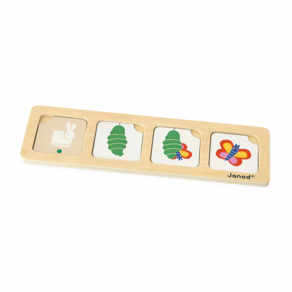 Tarjetas De Secuencias - El Jardín