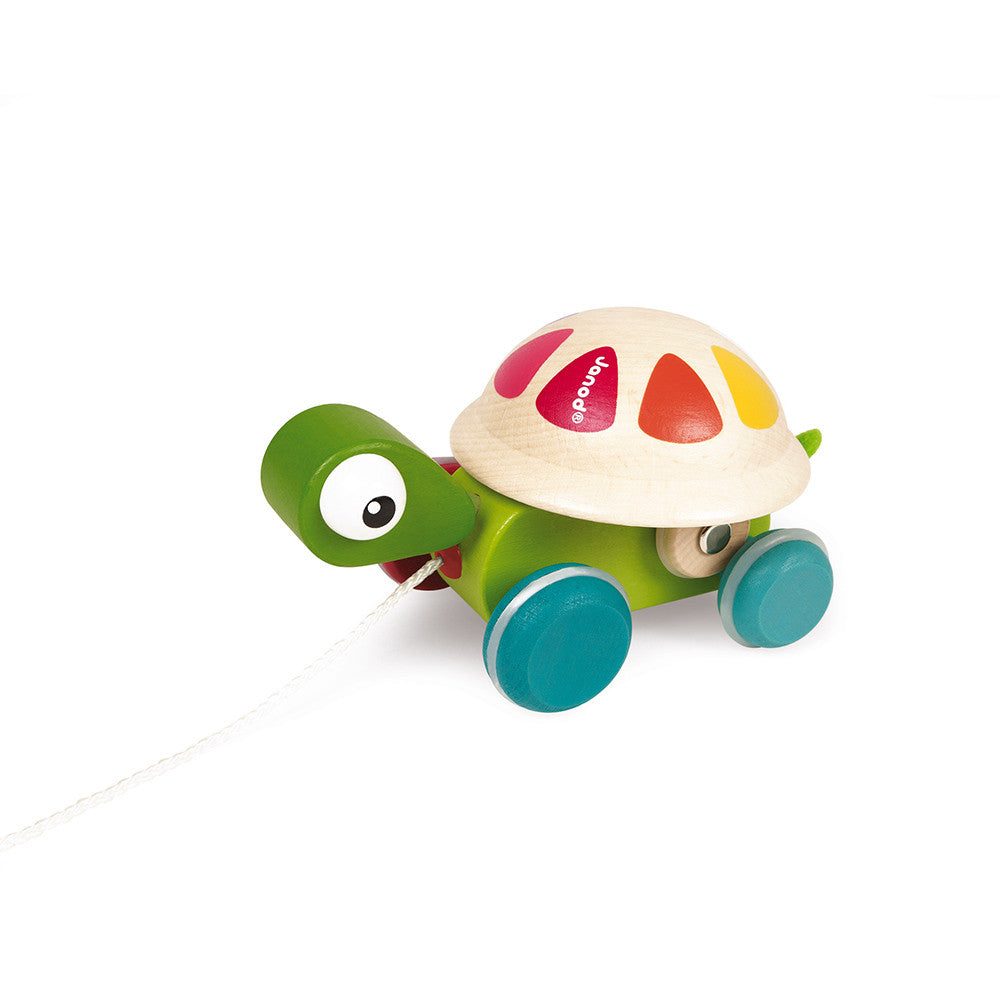 Tortuga Sonajero de Arrastre - Zigolos